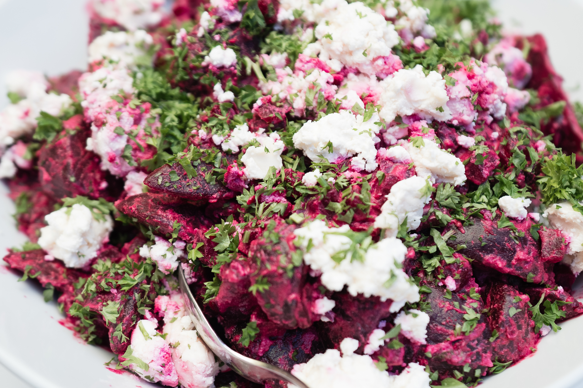 A portrait moment from the launch celebration